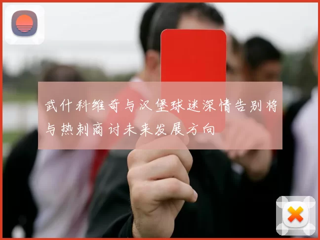 武什科维奇与汉堡球迷深情告别将与热刺商讨未来发展方向