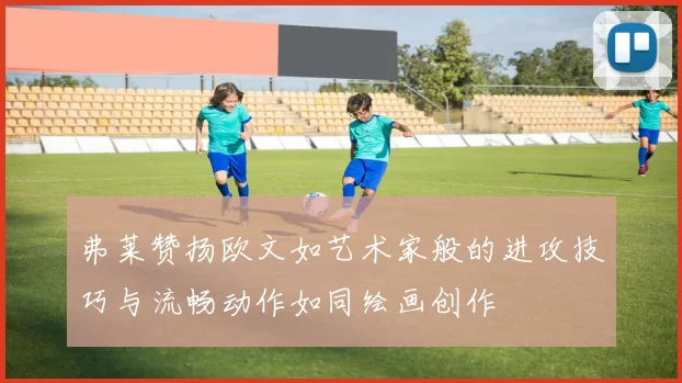 弗莱赞扬欧文如艺术家般的进攻技巧与流畅动作如同绘画创作